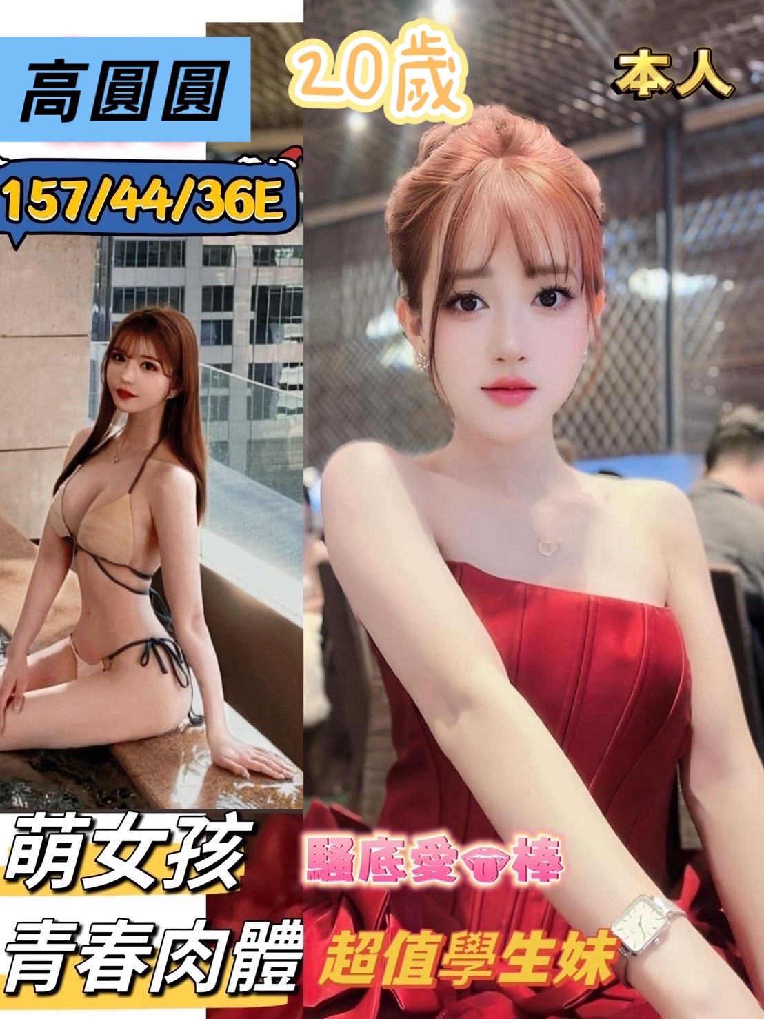 台南定點茶/高圓圓