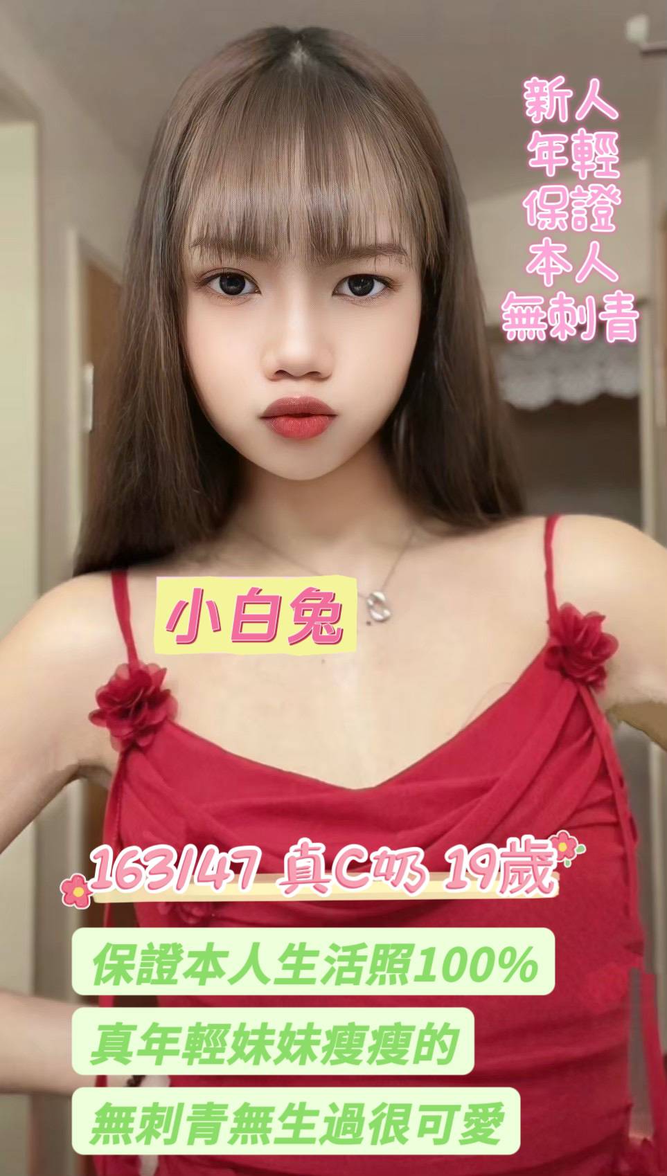 台南定點茶/小白兔