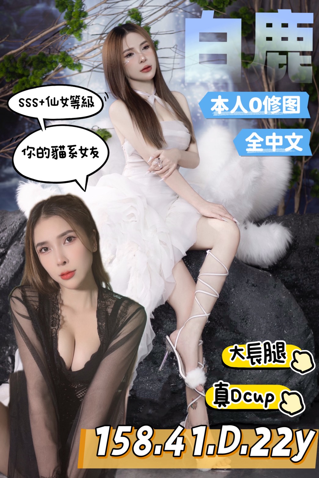 台南定點茶/白鹿