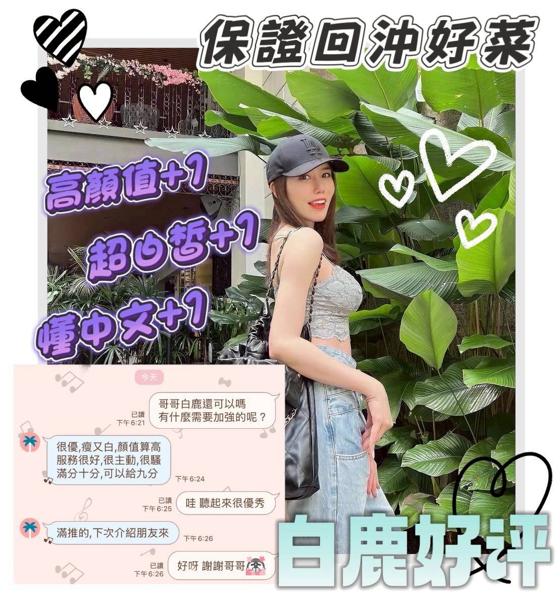 台南定點茶/白鹿