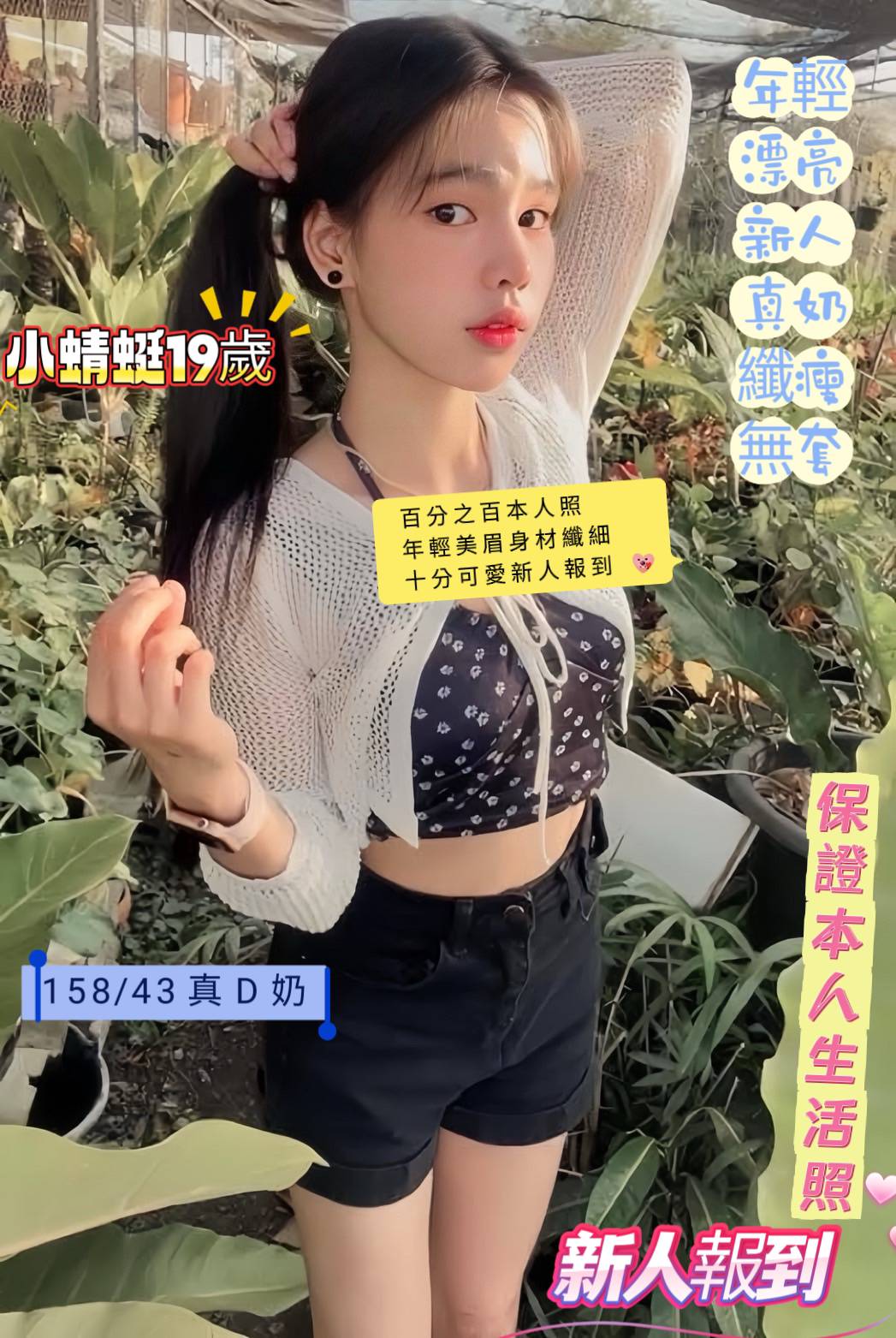 台南定點茶/小蜻蜓